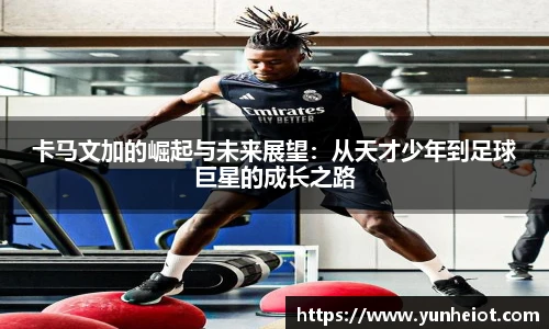 B体育官网