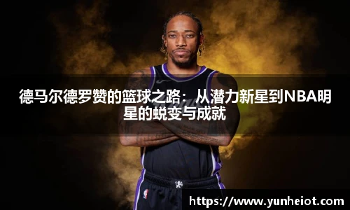 B体育bsports