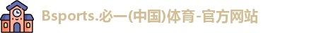 B体育官网